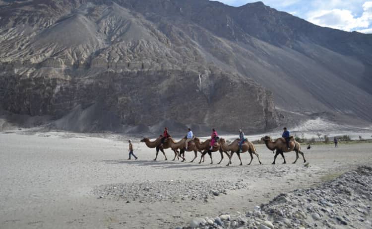 Must know information before you go to Nubra Valley Leh Ladakh, by Nisha  Parmar