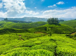 11 Best Places to Visit in Kerala – Tourist Places in Kerala