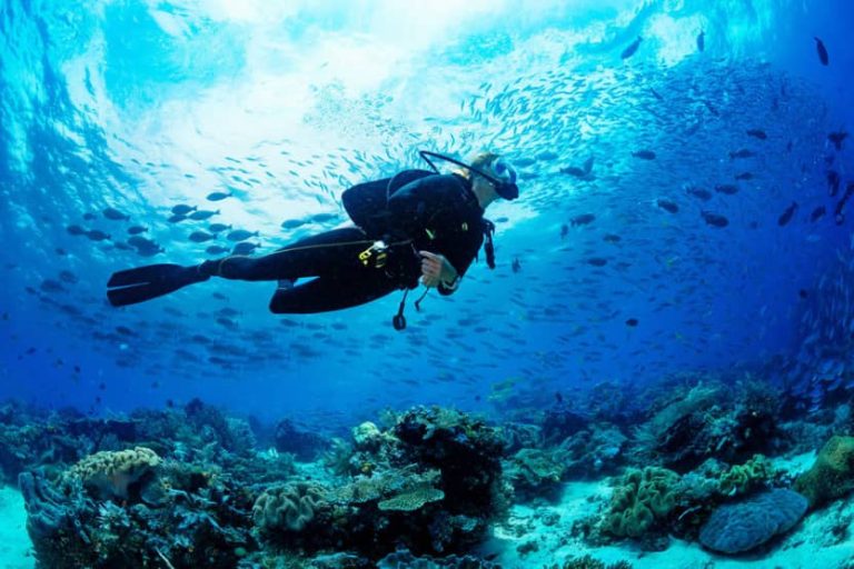 Everything You Must Know About Scuba Diving in Maldives