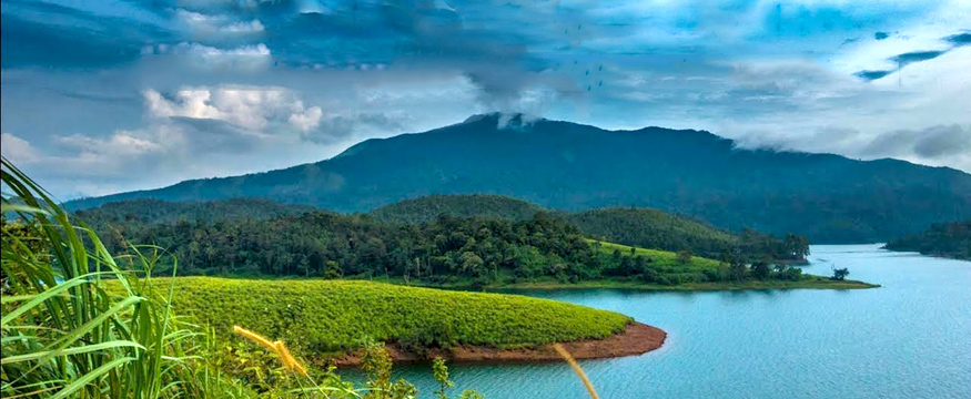 wayanad tour packages from kozhikode