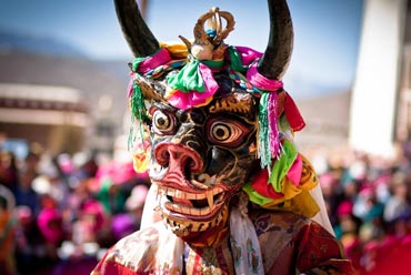 What is the famous festival of Ladakh?, by noblehousetours