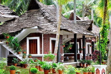 Shinshiva Ayurvedic Resort | Ayurvedic Resort in Kerala
